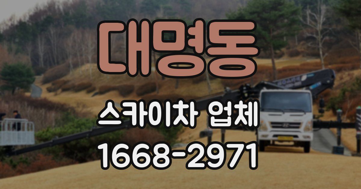 대명동 스카이차 업체