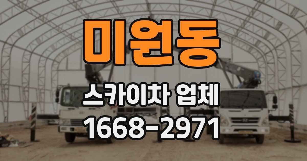 미원동 스카이차 업체