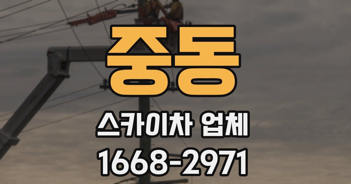 중동 스카이차 업체