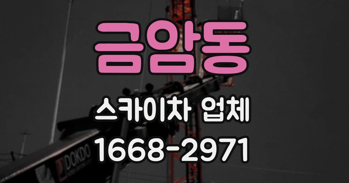 금암동 스카이차 업체