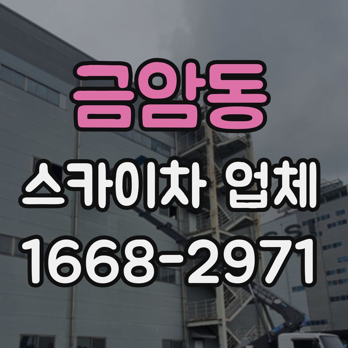 금암동 스카이차 업체