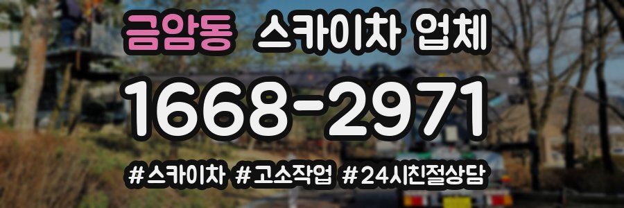 금암동 스카이차 업체