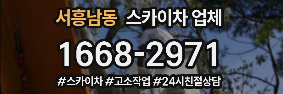 서흥남동 스카이차 업체