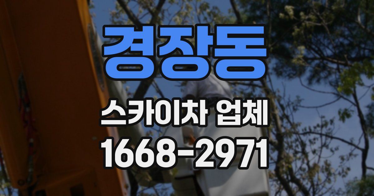 경장동 스카이차 업체