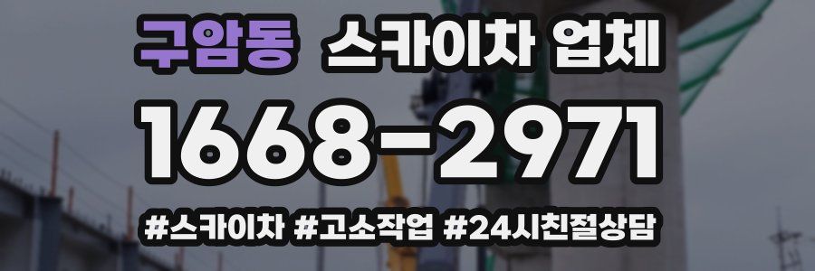 구암동 스카이차 업체