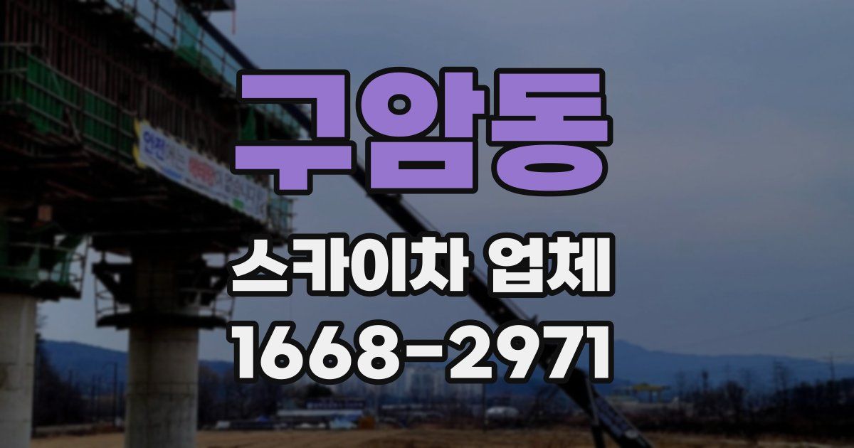 구암동 스카이차 업체