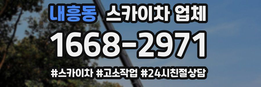 내흥동 스카이차 업체