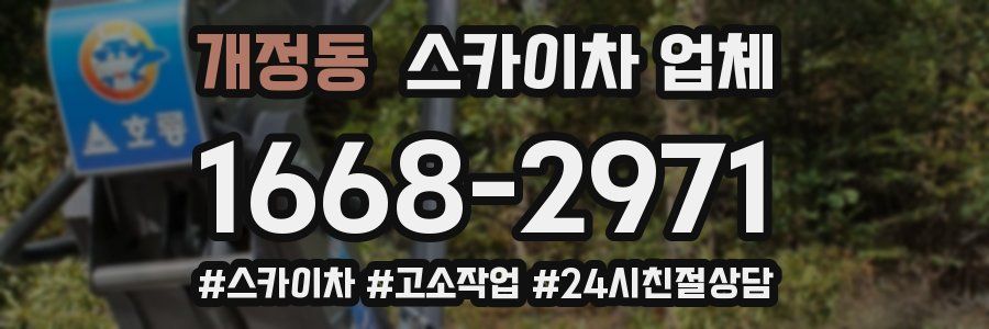 개정동 스카이차 업체
