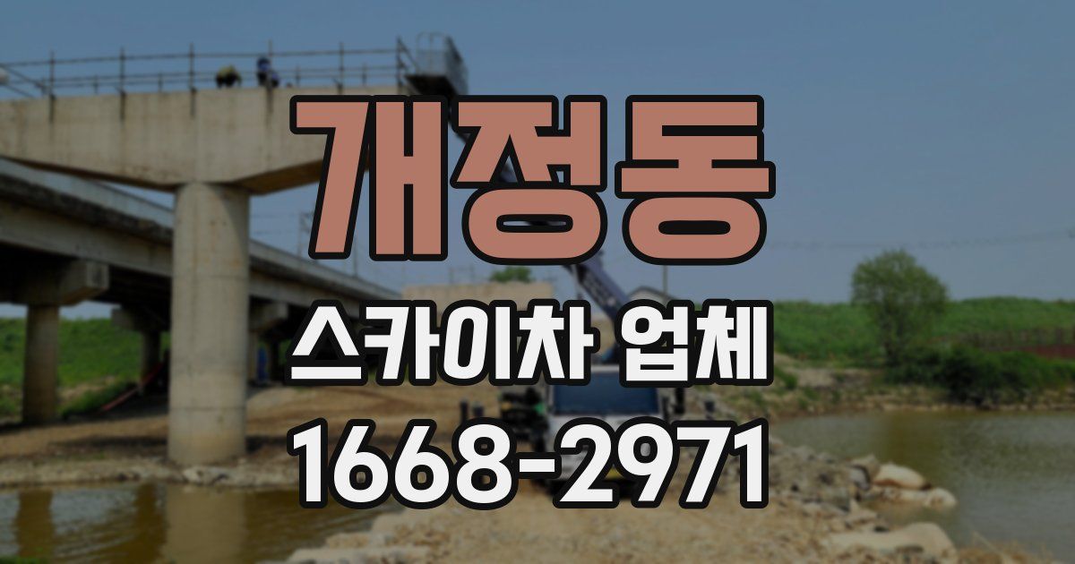 개정동 스카이차 업체