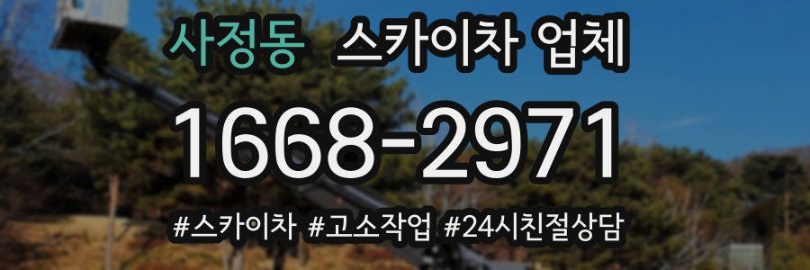 사정동 스카이차 업체