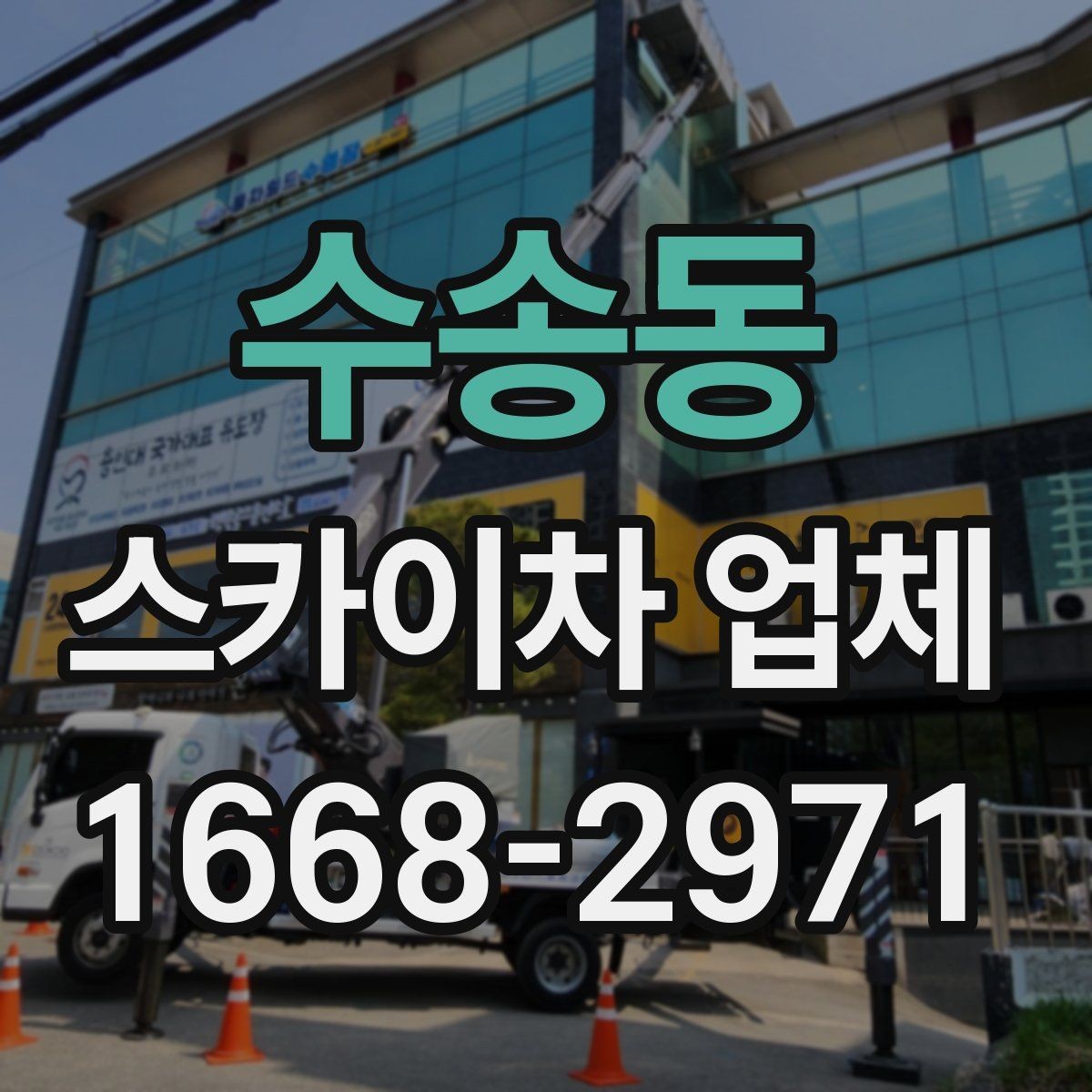 수송동 스카이차 업체 선택 전 확인할 점