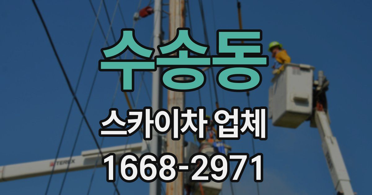 수송동 스카이차 업체