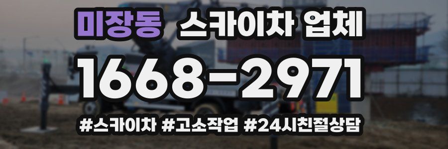미장동 스카이차 업체