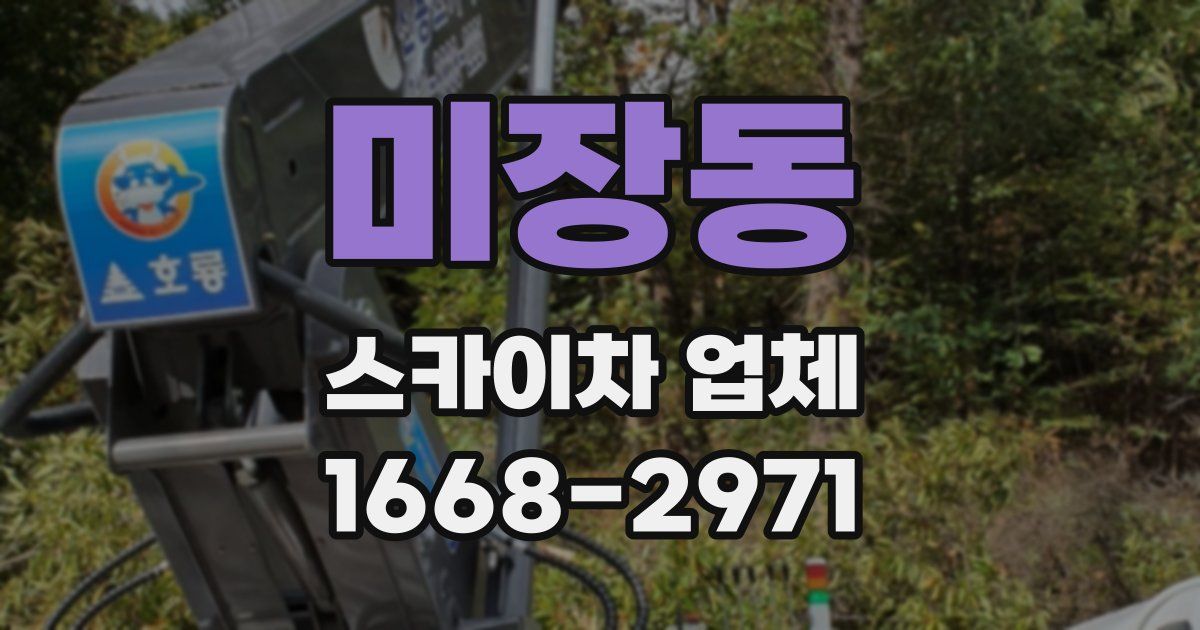 미장동 스카이차 업체