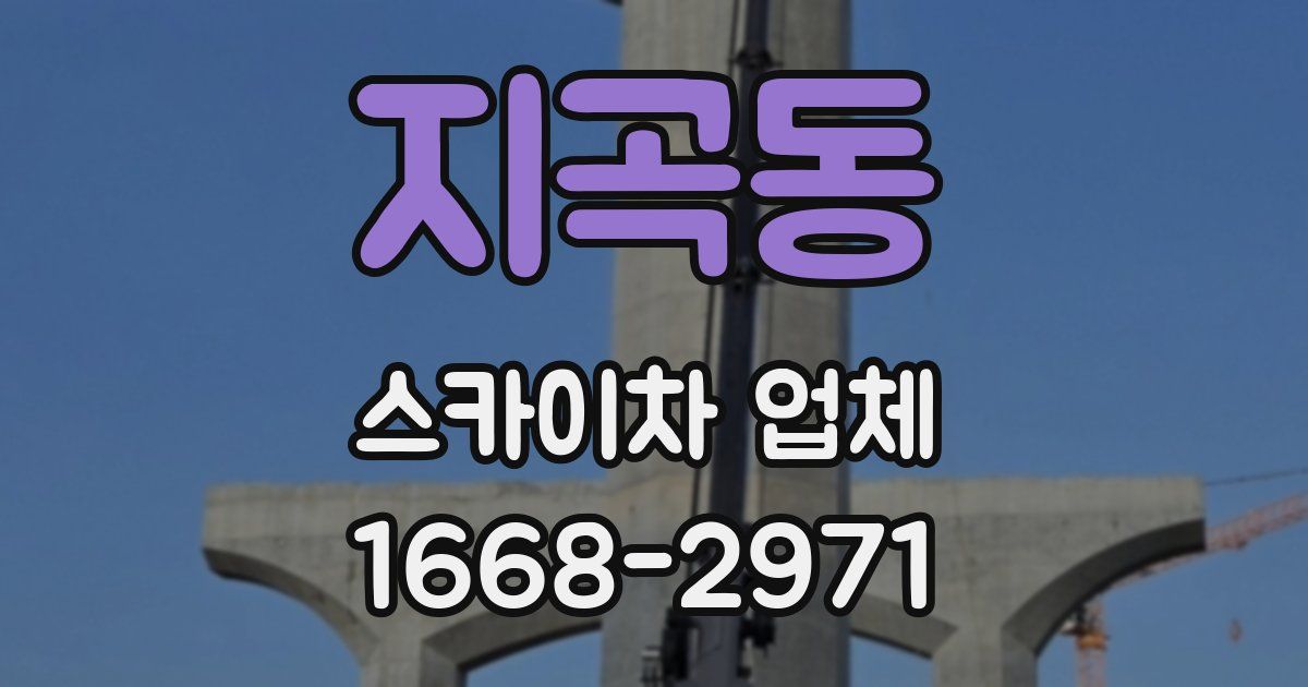 지곡동 스카이차 업체