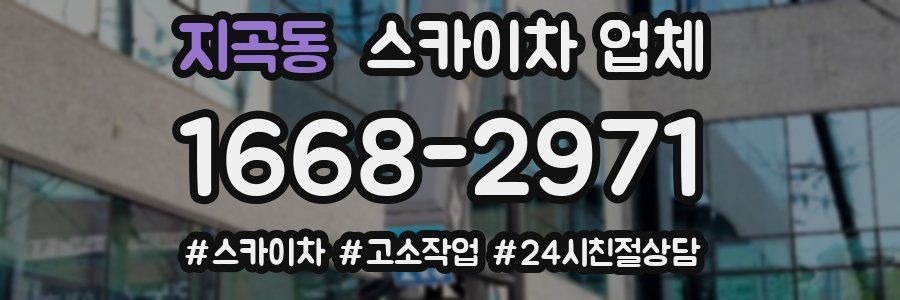 지곡동 스카이차 업체