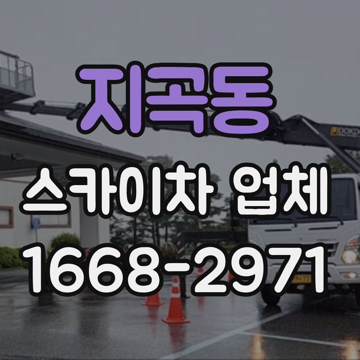 지곡동 스카이차 업체
