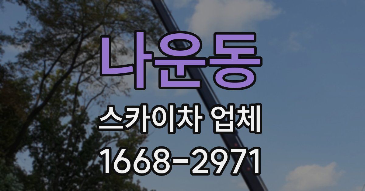 나운동 스카이차 업체