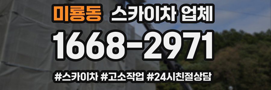 미룡동 스카이차 업체