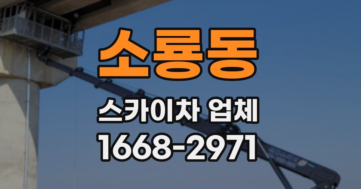 소룡동 스카이차 업체