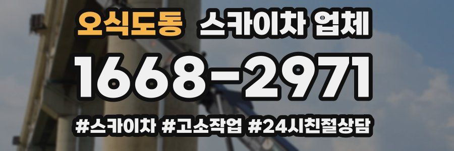 오식도동 스카이차 업체