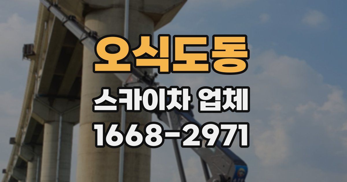 오식도동 스카이차 업체