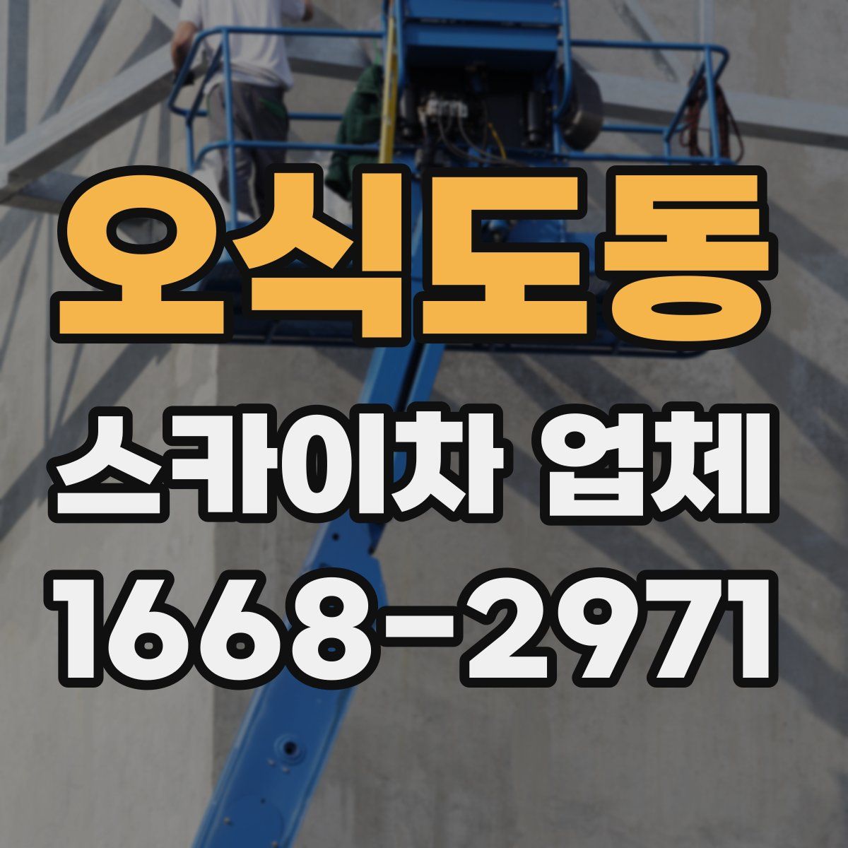오식도동 스카이차 업체