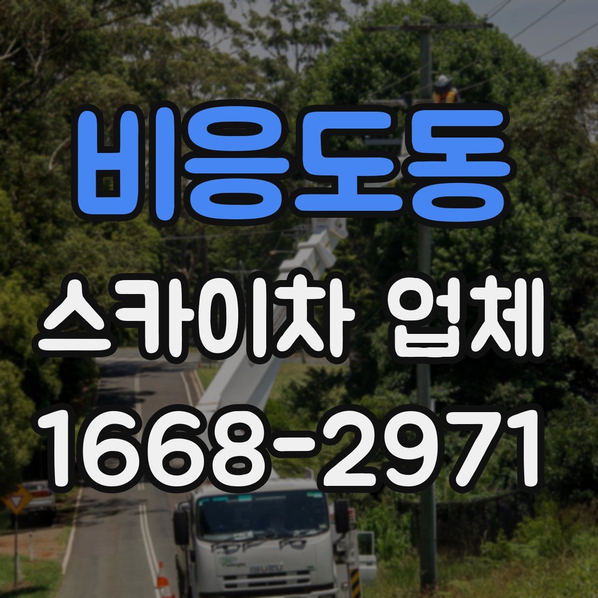 비응도동 스카이차 업체