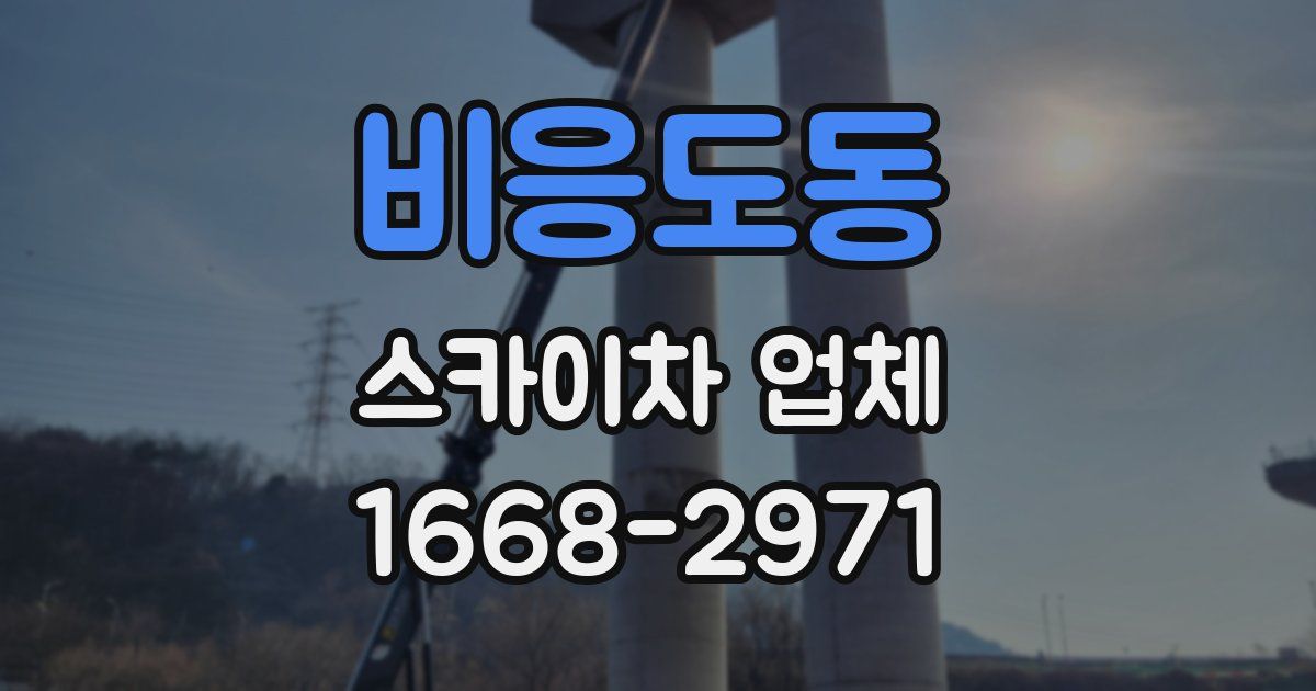 비응도동 스카이차 업체