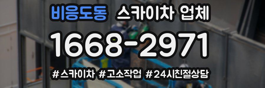비응도동 스카이차 업체