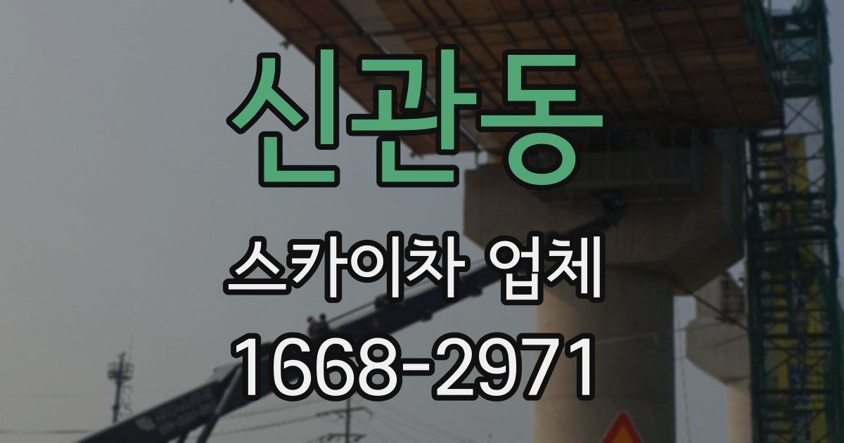신관동 스카이차 업체