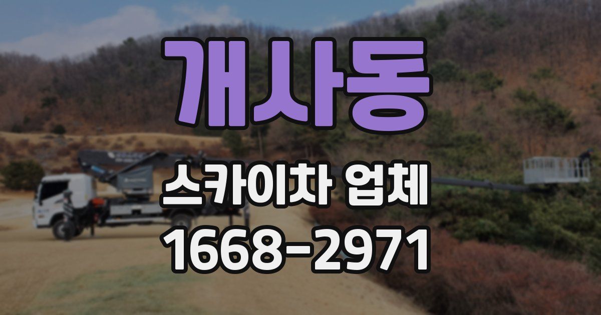 개사동 스카이차 업체