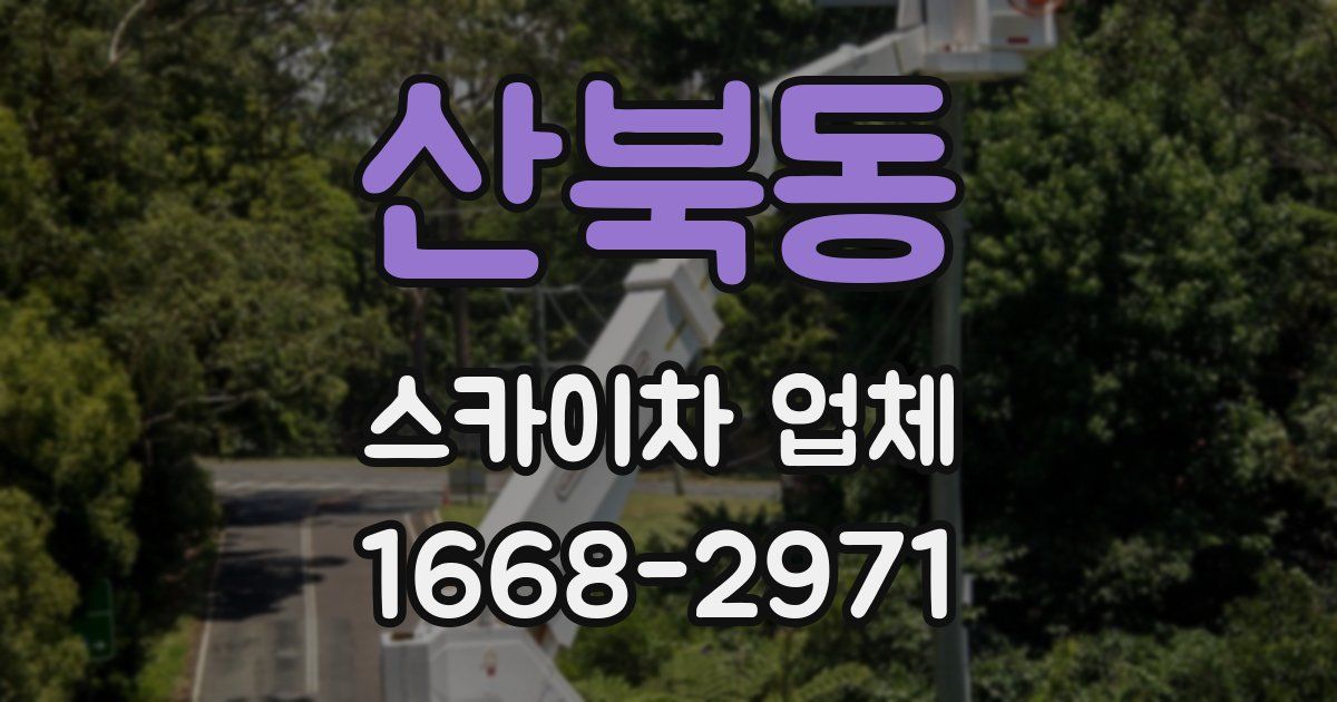 산북동 스카이차 업체