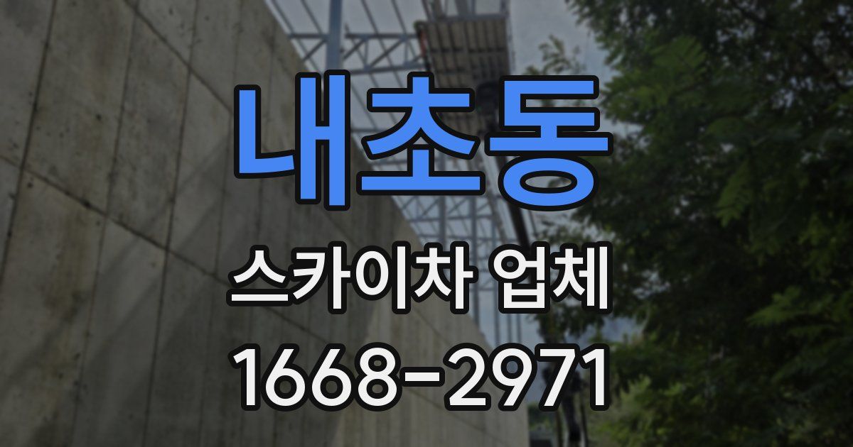 내초동 스카이차 업체