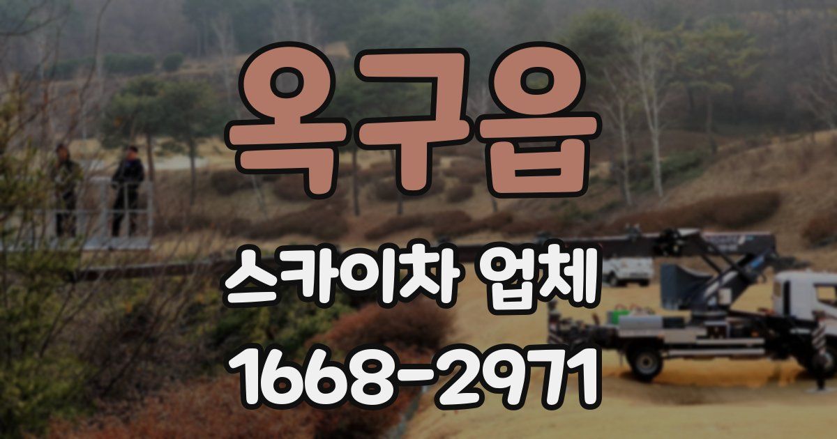 옥구읍 스카이차 업체