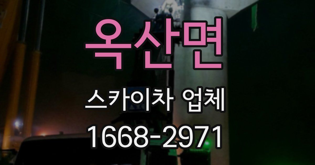 옥산면 스카이차 업체