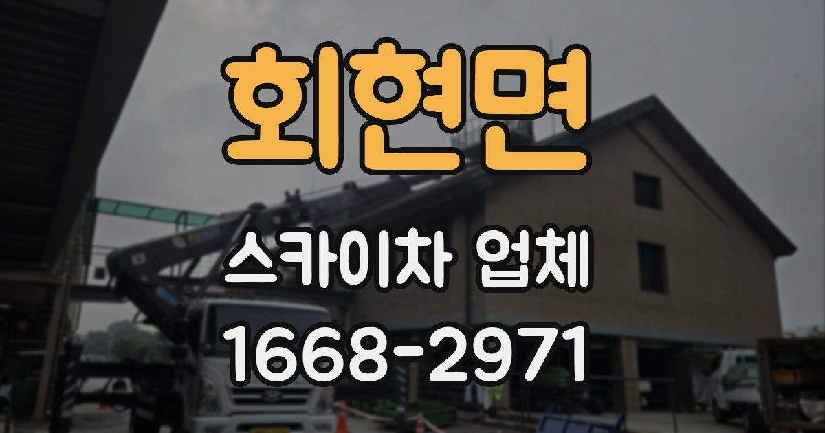 회현면 스카이차 업체