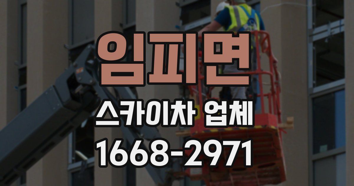 임피면 스카이차 업체