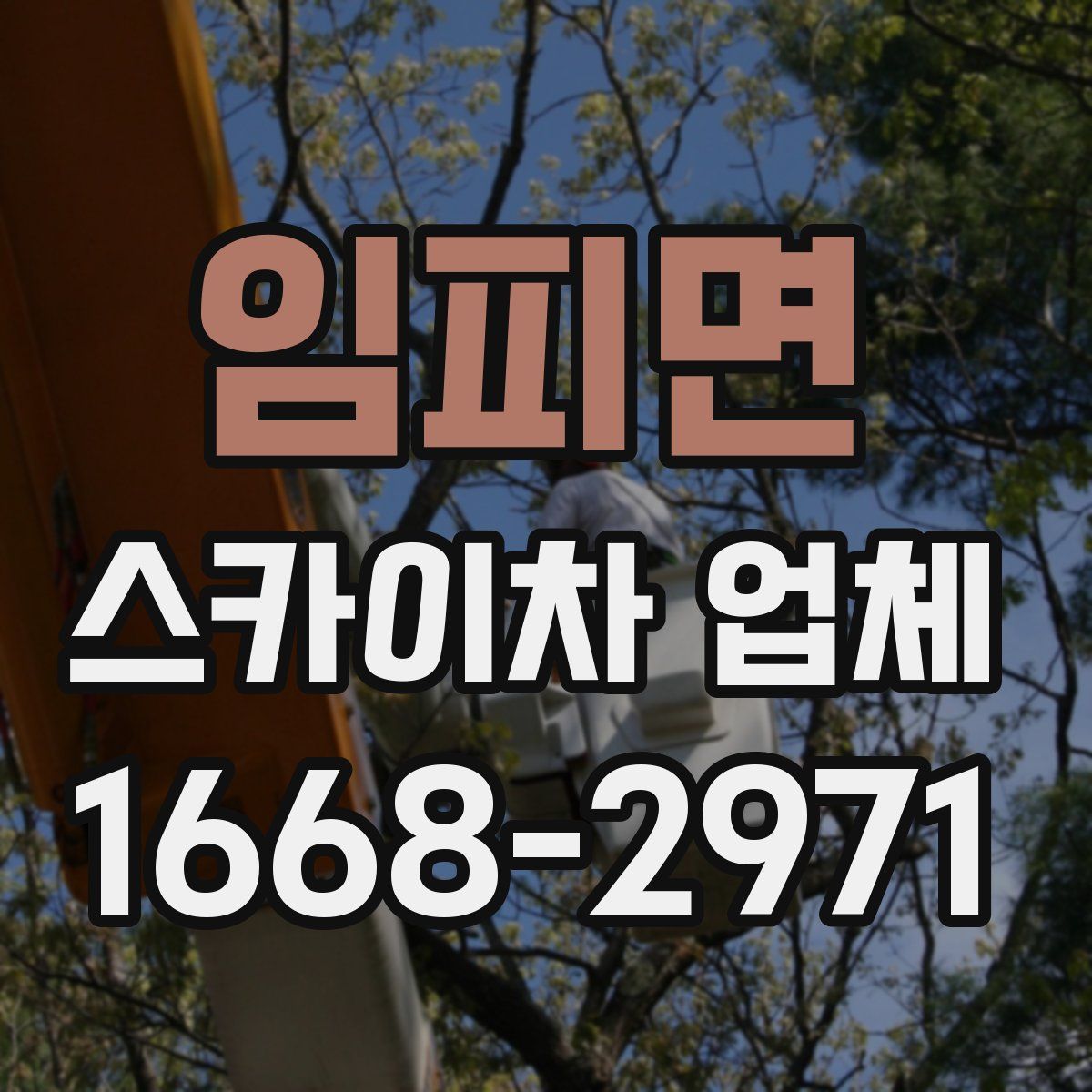 임피면 스카이차 업체