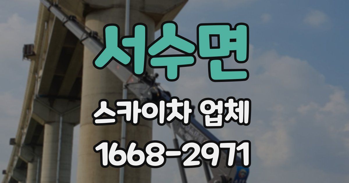 서수면 스카이차 업체