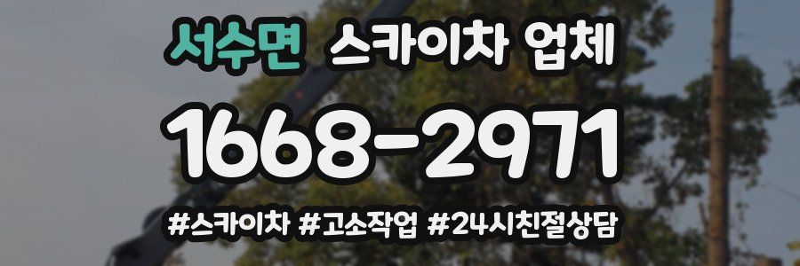 서수면 스카이차 업체