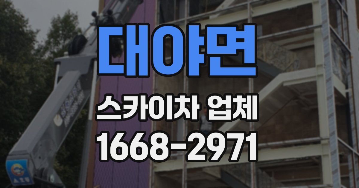 대야면 스카이차 업체