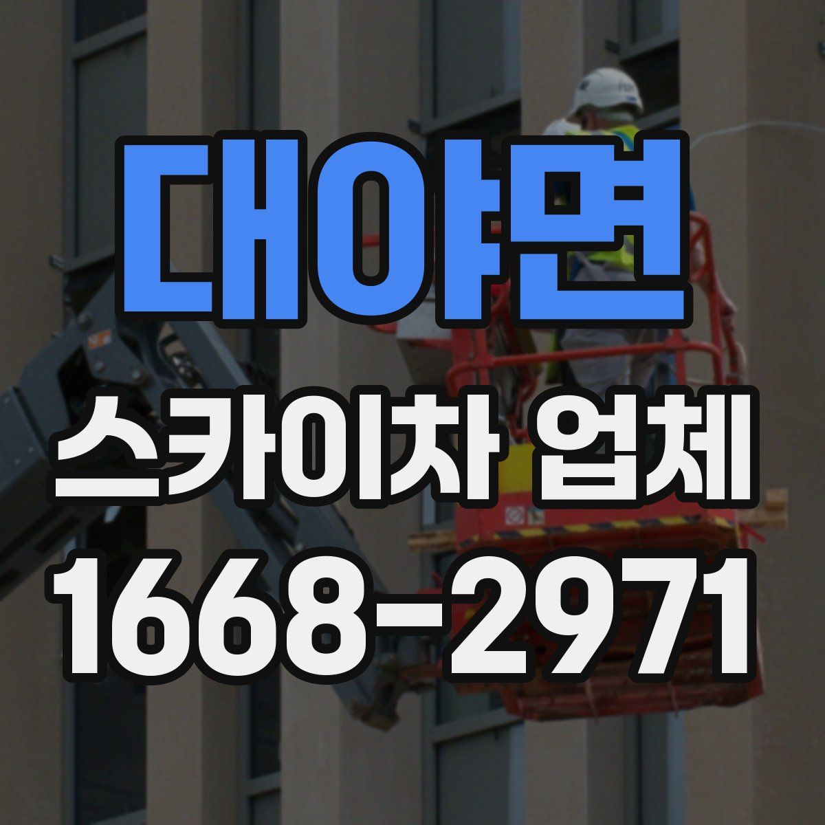 대야면 스카이차 업체