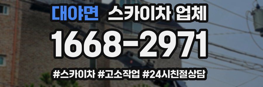 대야면 스카이차 업체