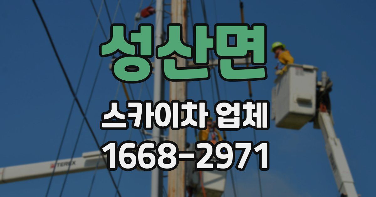 성산면 스카이차 업체