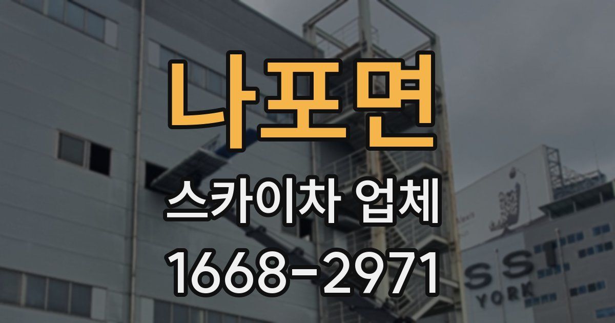 나포면 스카이차 업체