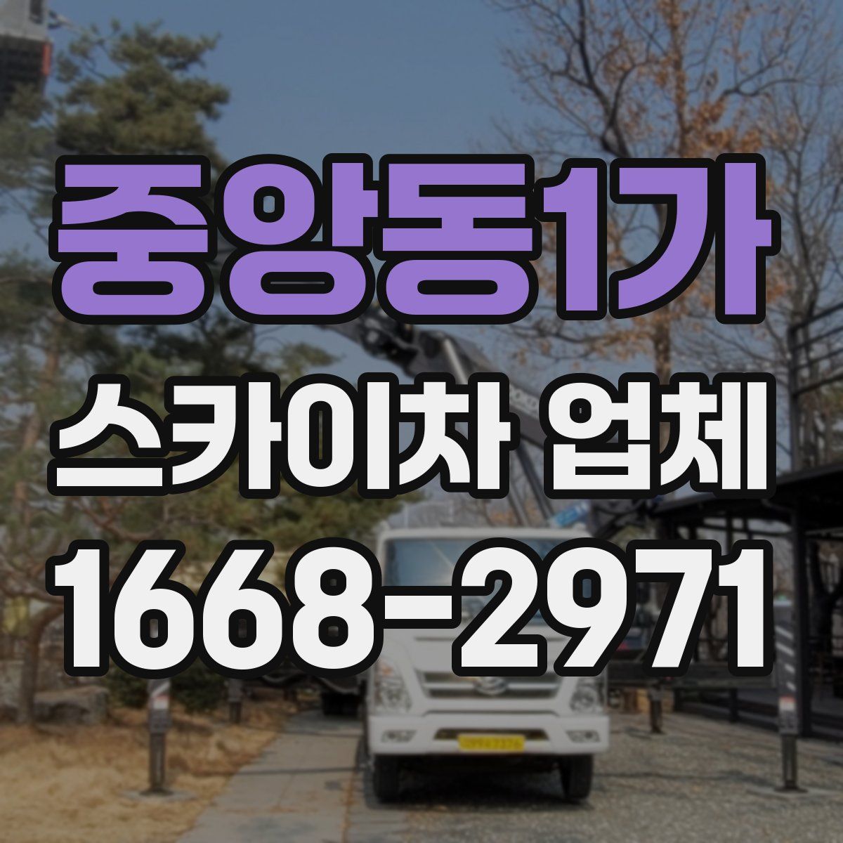 중앙동1가 스카이차 업체