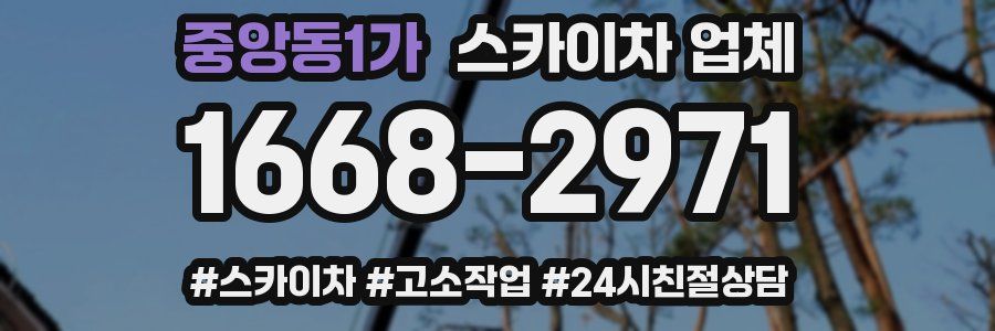 중앙동1가 스카이차 업체