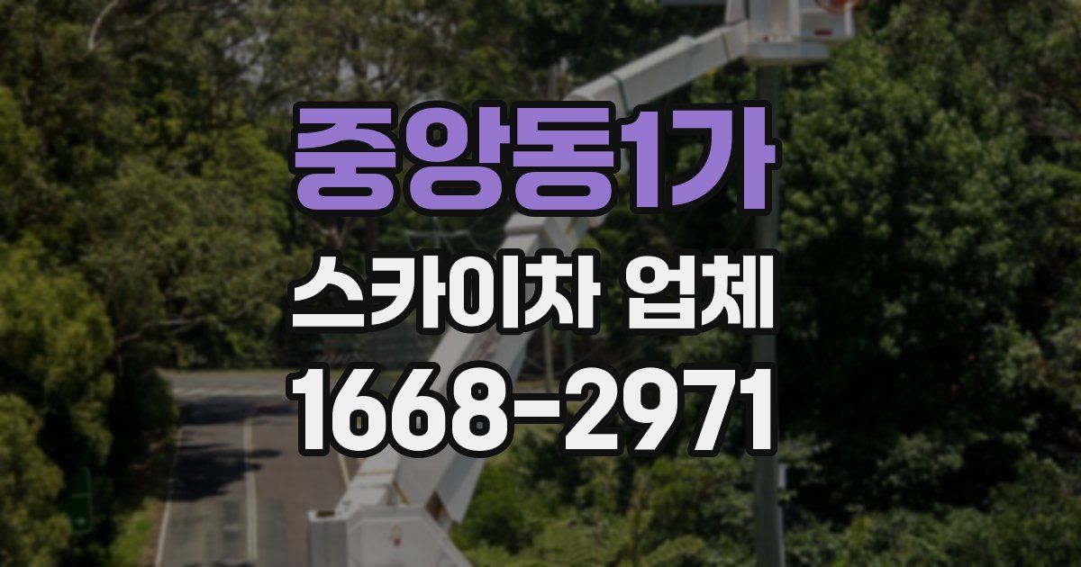 중앙동1가 스카이차 업체