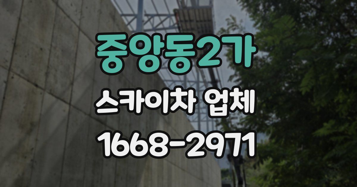 중앙동2가 스카이차 업체
